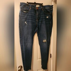 Lane Bryant distressed skinny jeans